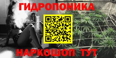 apvp Лесосибирск