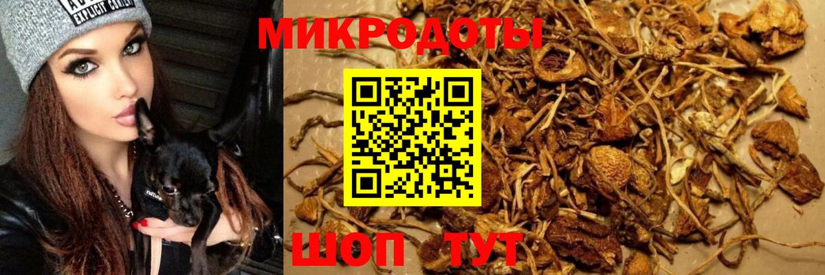 Тула  Галлюциногенные грибы Magic Shrooms  Вход с VPN 